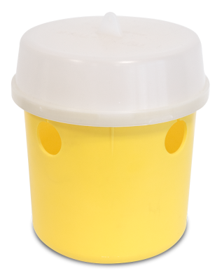 Insektenvernichter Tephri Trap