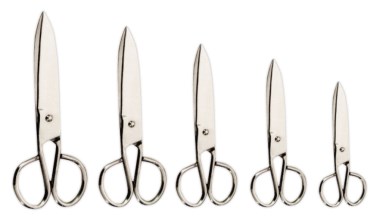 Fischschere aus rostfreiem Edelstahl AISI 304