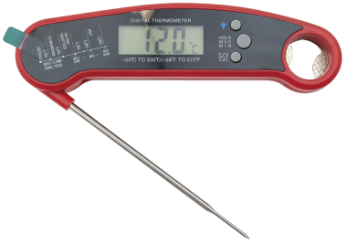 Digitales wasserfestes Thermometer